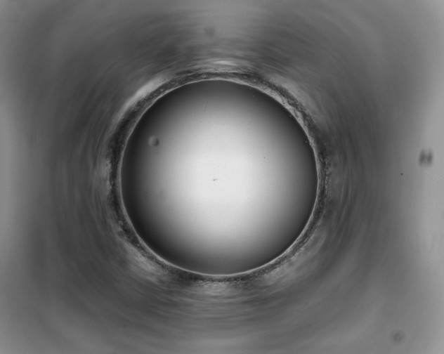 X0000102341402200808011129