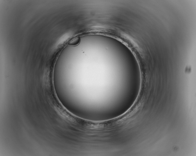 X0000102341403200808011129