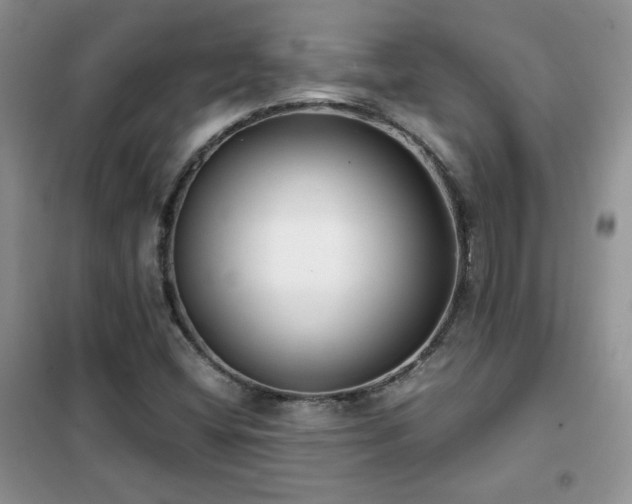 X0000102341404200808011129