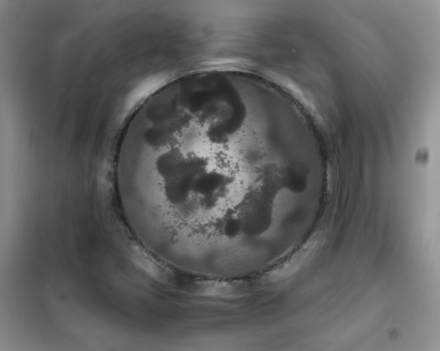 X0000102341405200808011129