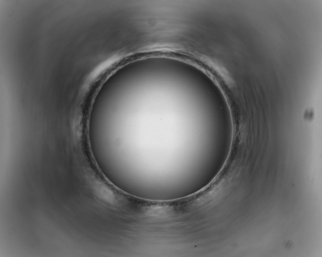 X0000102341406200808011129