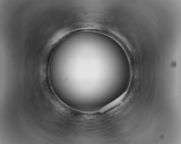 X0000102341407200808011129