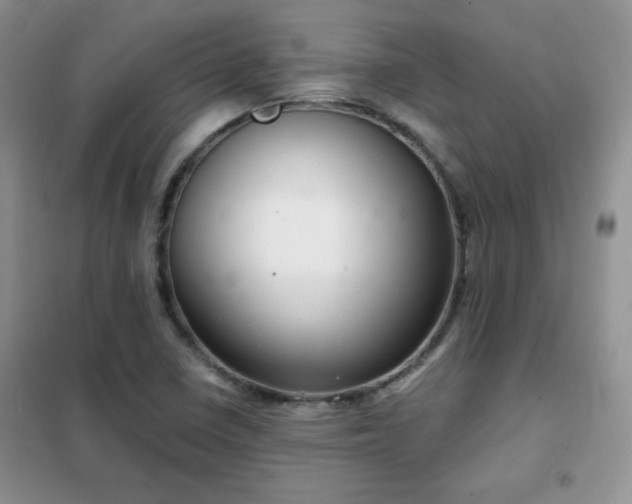 X0000102341410200808011129