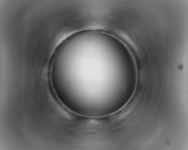 X0000102341412200808011129