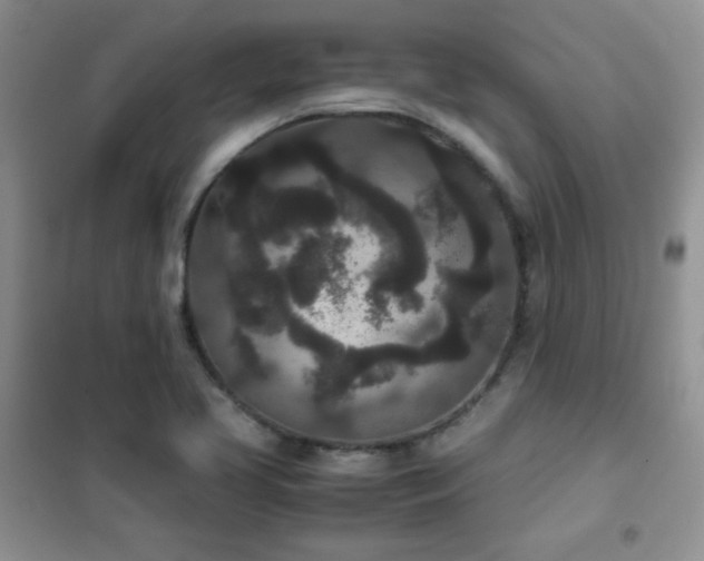 X0000102341413200808011129