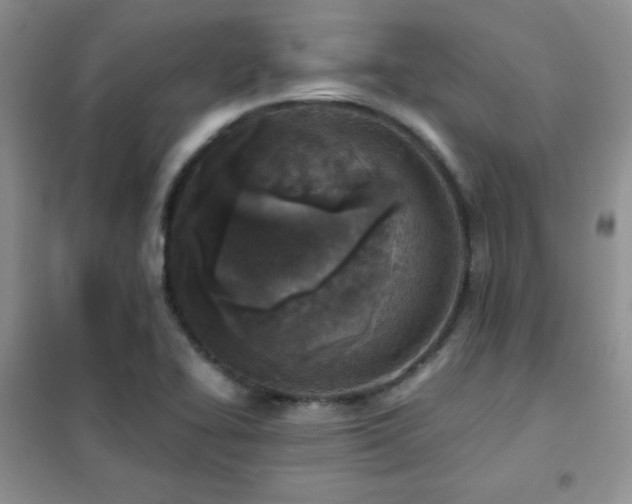 X0000102341414200808011129