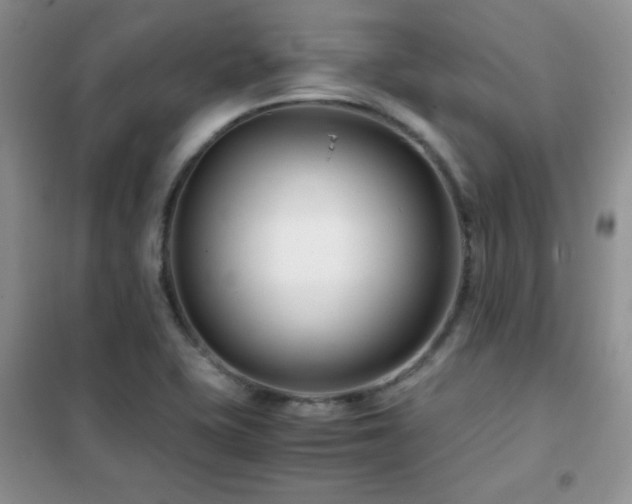 X0000102341415200808011129