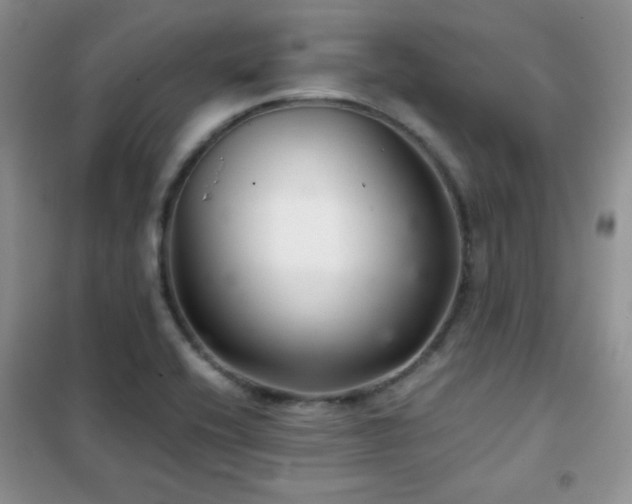 X0000102341416200808011129