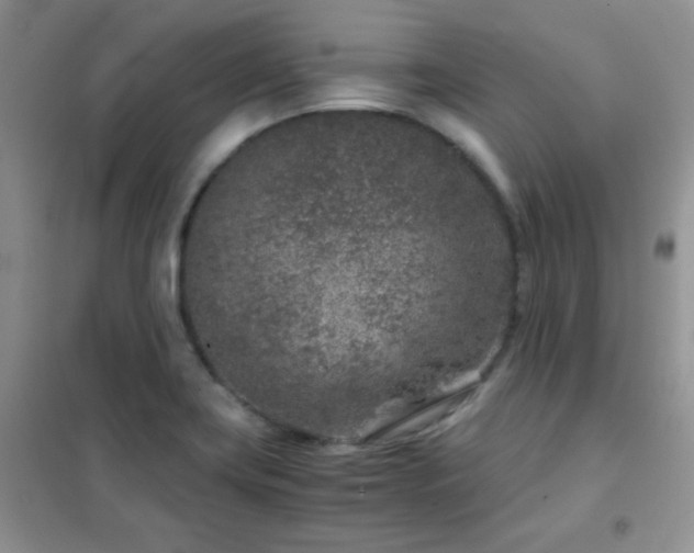 X0000102341419200808011129