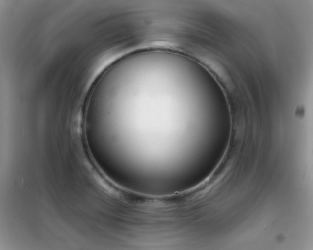 X0000102341420200808011129