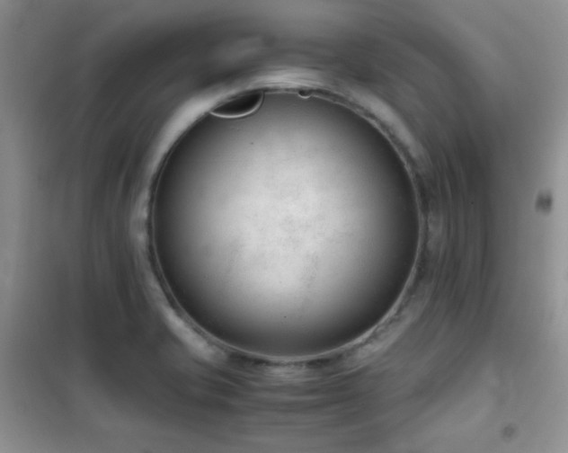 X0000102341421200808011129