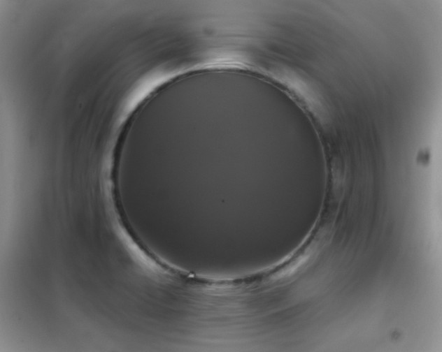 X0000102341422200808011129