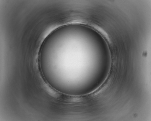 X0000102341423200808011129