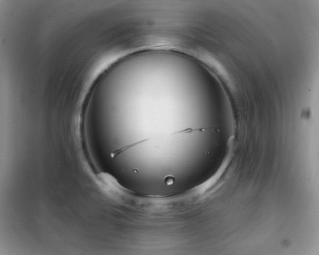 X0000102341424200808011129