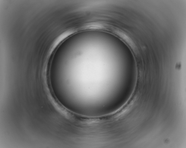 X0000102341426200808011130