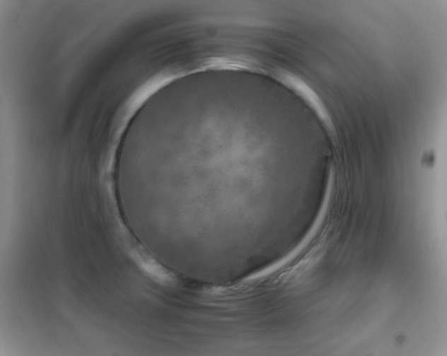 X0000102341427200808011130