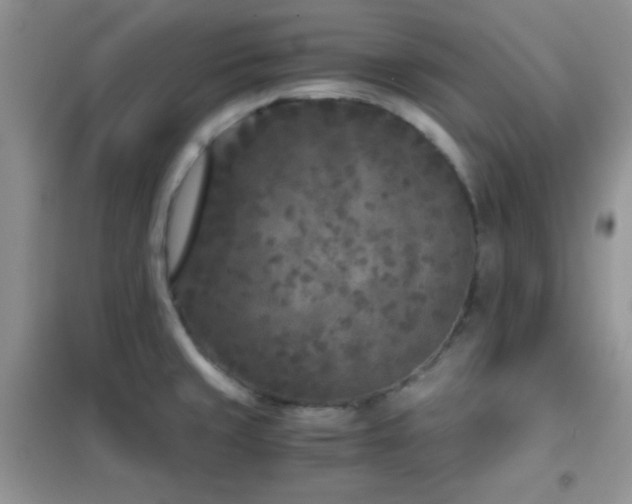 X0000102341429200808011130