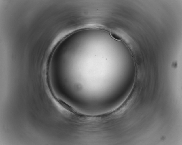 X0000102341430200808011130