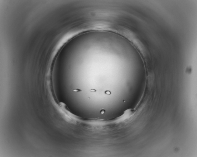 X0000102341432200808011130