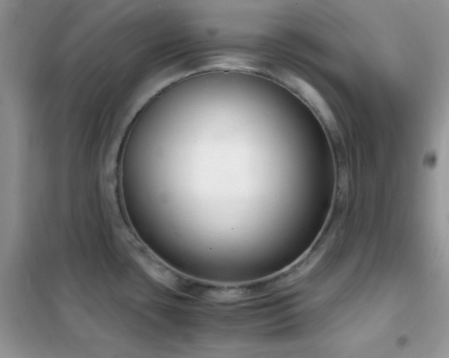 X0000102341435200808011130