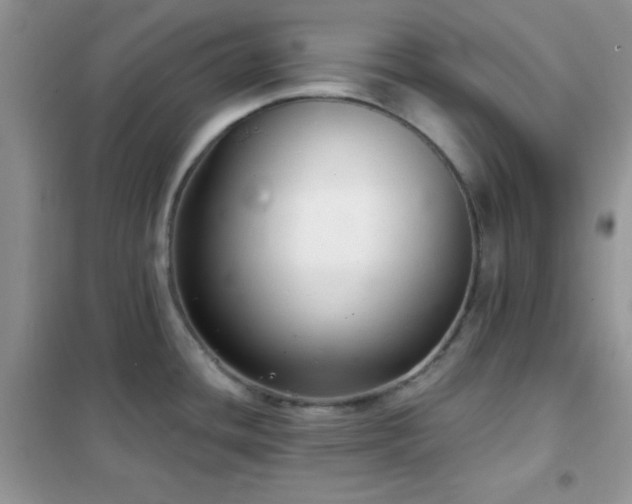 X0000102341436200808011130