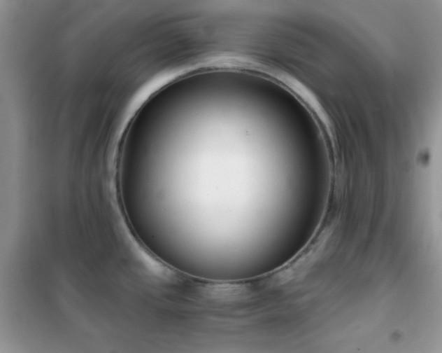 X0000102341437200808011130