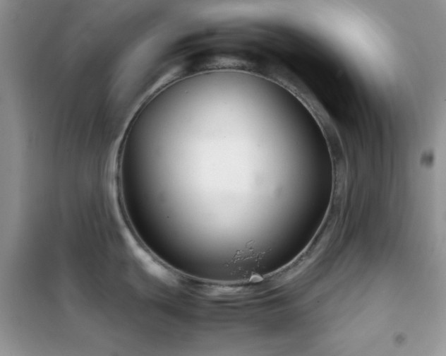 X0000102341439200808011130