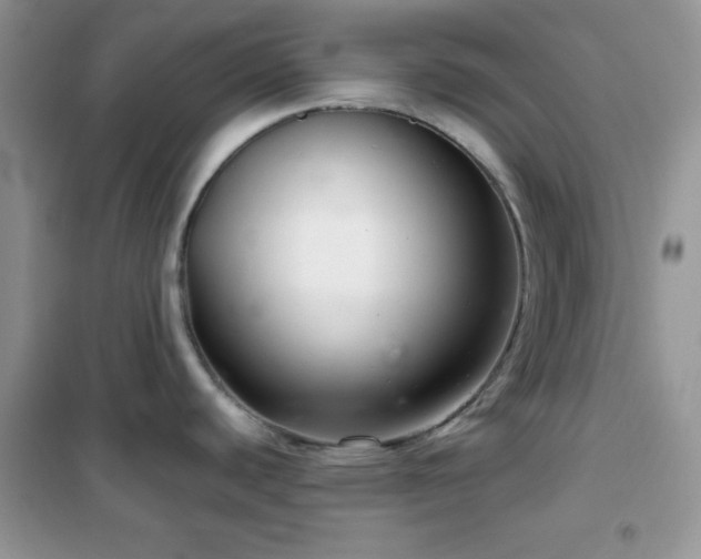 X0000102341440200808011130