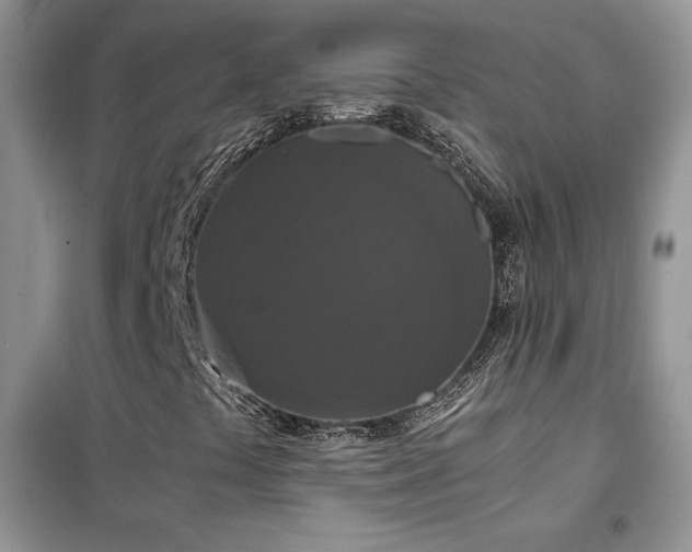 X0000102341441200808011129