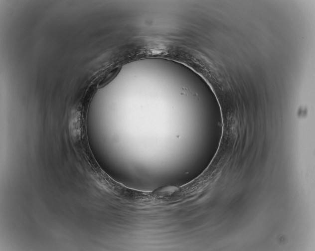 X0000102341442200808011129