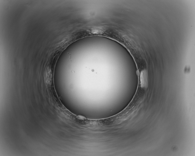 X0000102341443200808011129