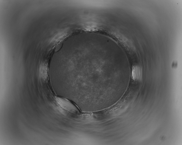 X0000102341444200808011129