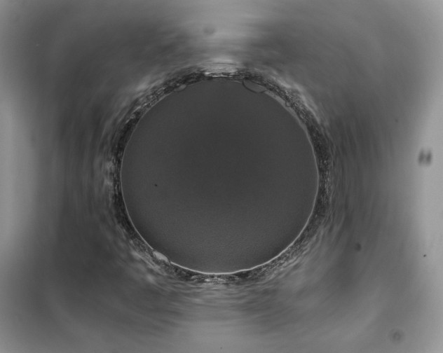 X0000102341445200808011129