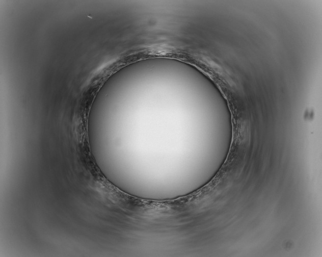 X0000102341446200808011129