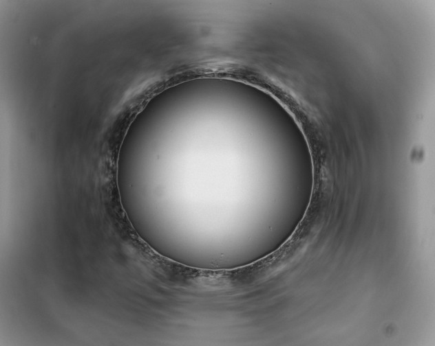 X0000102341447200808011129