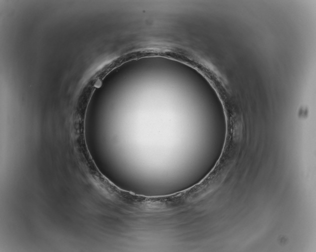 X0000102341448200808011129