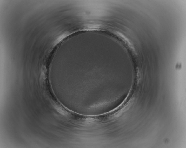 X0000102341449200808011129