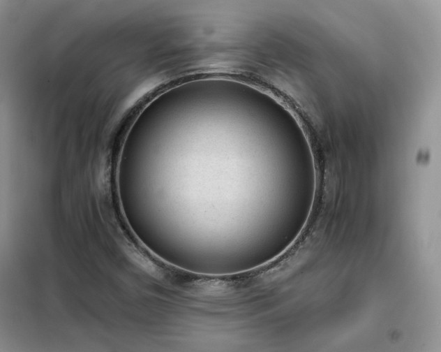 X0000102341450200808011129