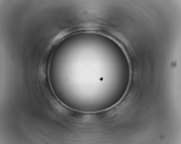 X0000102341451200808011129