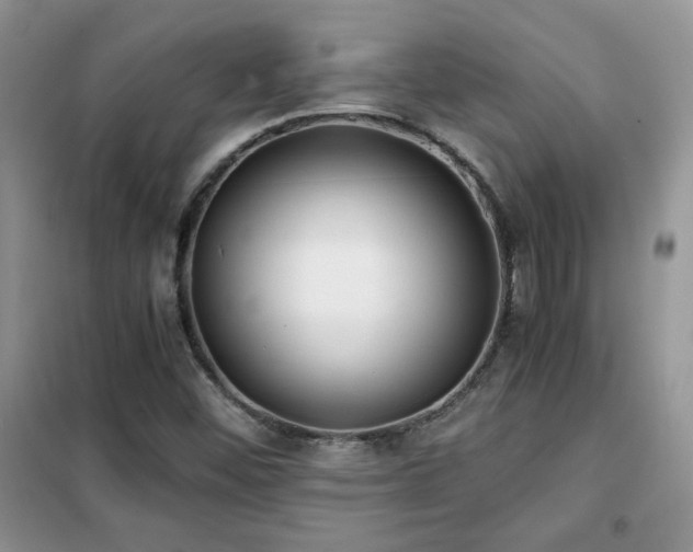 X0000102341452200808011129