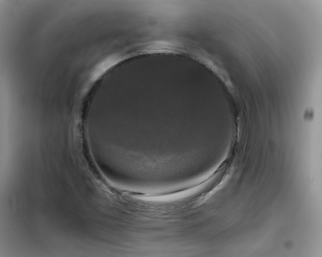 X0000102341453200808011129