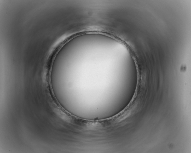 X0000102341454200808011129