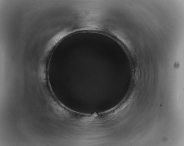 X0000102341455200808011129