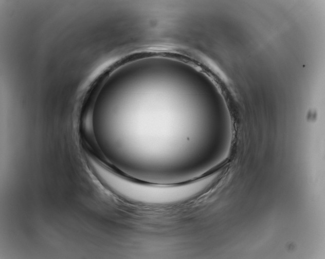 X0000102341456200808011129