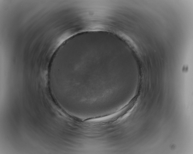 X0000102341457200808011129