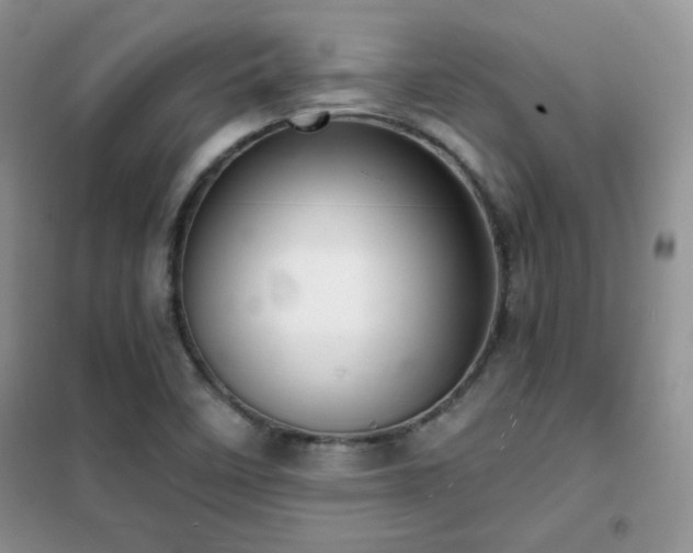 X0000102341458200808011129