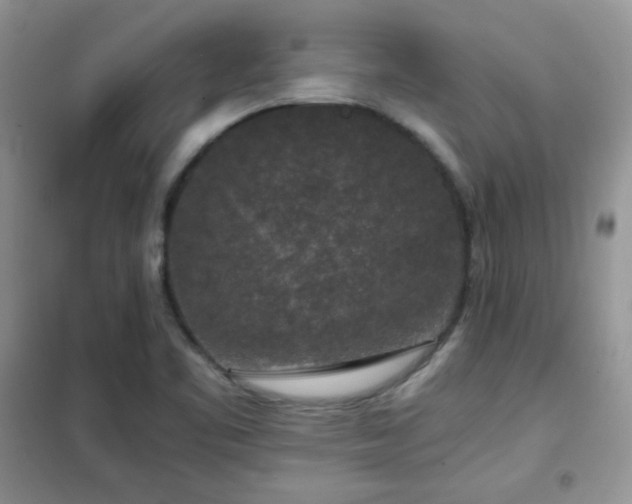 X0000102341461200808011129