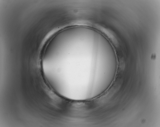 X0000102341462200808011129