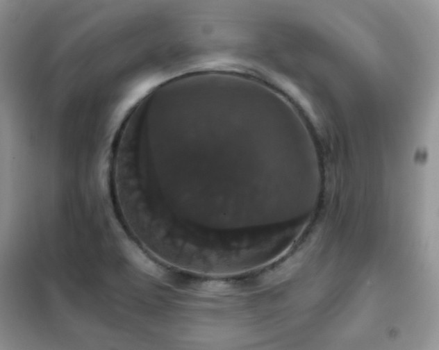 X0000102341463200808011129