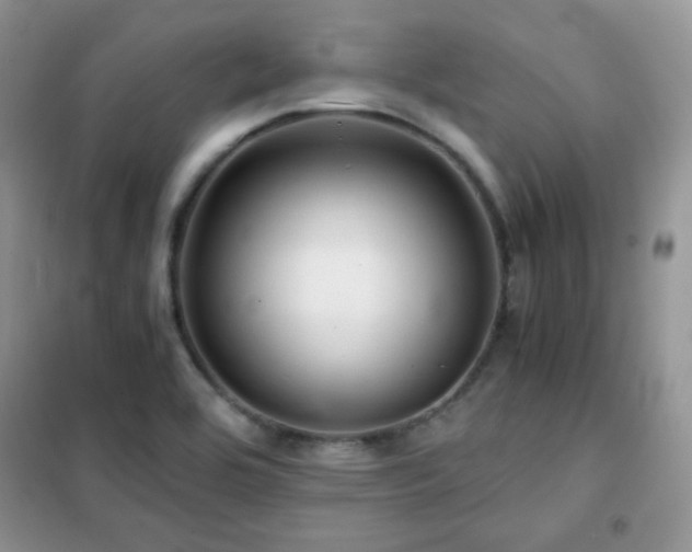 X0000102341464200808011129